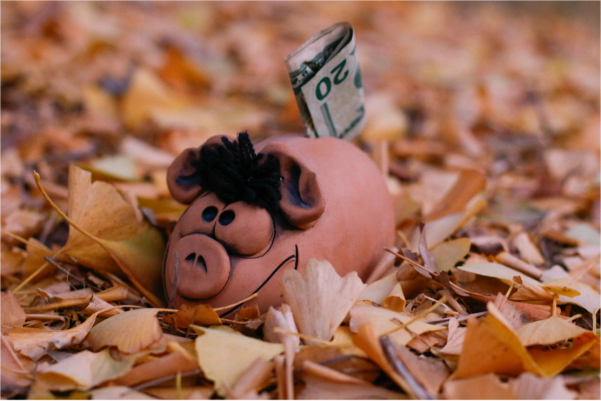 Adobe Express file 2 5