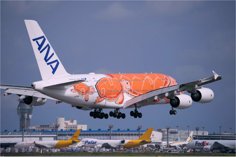 Adobe Express file 1 4