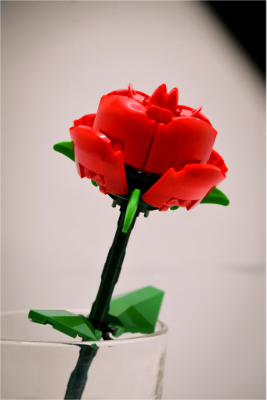 converted image 1768124427704 1