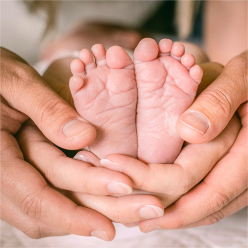 converted image 1768207561190 1