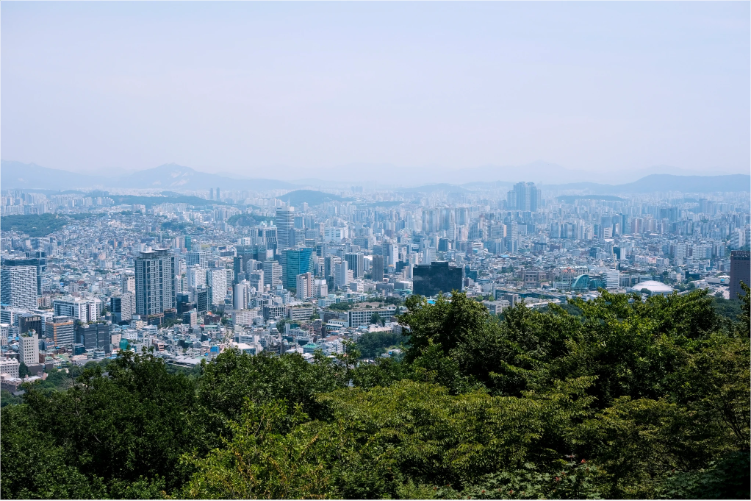 converted image 1768224669670 1