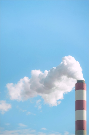 converted image 1768224669674 1