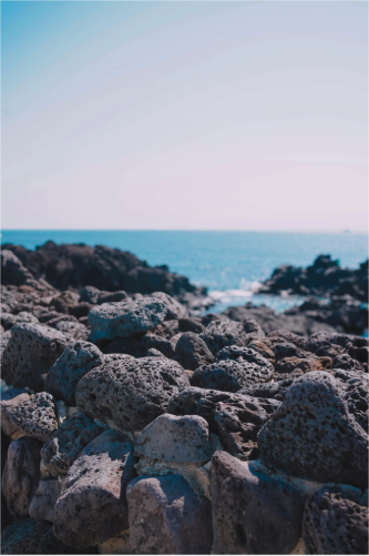 converted image 1768563840822 2