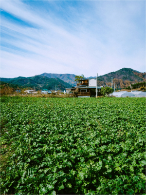 converted image 1768785638673 1